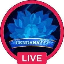 Download Aplikasi cendana777 Terbaru untuk HP Android